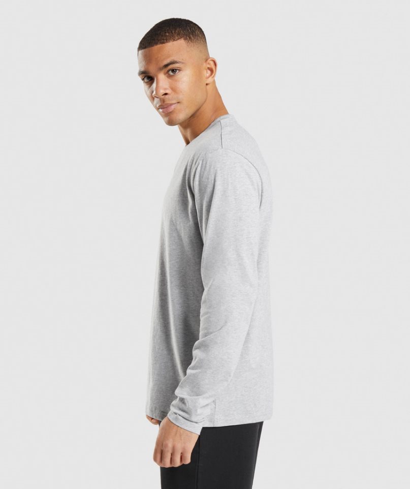 Men's Gymshark Crest Long Sleeve T-Shirts Light Grey | CA 057316